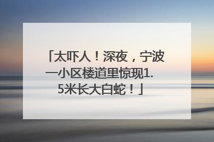 太吓人！深夜，宁波一小区楼道里惊现1.5米长大白蛇！