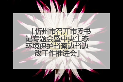 忻州市召开市委书记专题会暨中央生态环境保护督察边督边改工作推进会