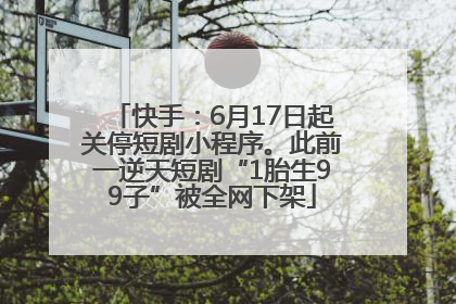 快手：6月17日起关停短剧小程序。此前一逆天短剧“1胎生99子”被全网下架