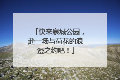 快来泉城公园，赴一场与荷花的浪漫之约吧！