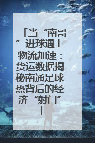 当“南哥”进球遇上物流加速：货运数据揭秘南通足球热背后的经济“射门”