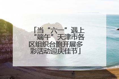 当“六一”遇上“端午”天津市各区组织台胞开展多彩活动迎庆佳节
