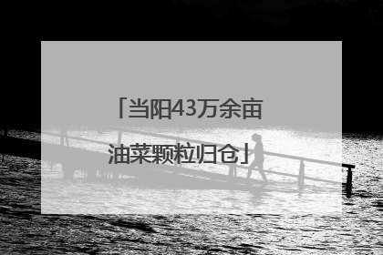 当阳43万余亩油菜颗粒归仓