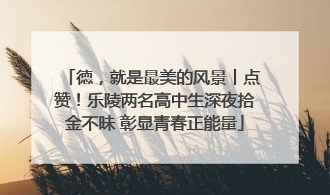 德，就是最美的风景丨点赞！乐陵两名高中生深夜拾金不昧 彰显青春正能量