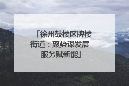 徐州鼓楼区牌楼街道：聚势谋发展 服务赋新能