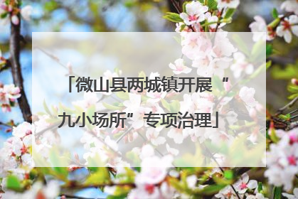 微山县两城镇开展“九小场所”专项治理