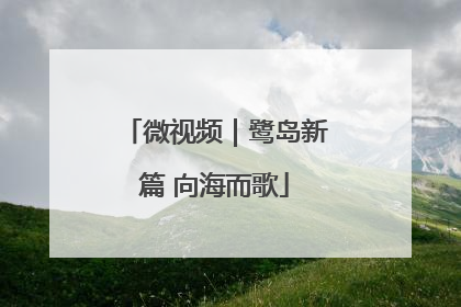 微视频｜鹭岛新篇 向海而歌