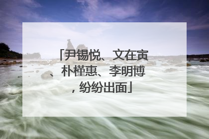 尹锡悦、文在寅、朴槿惠、李明博，纷纷出面