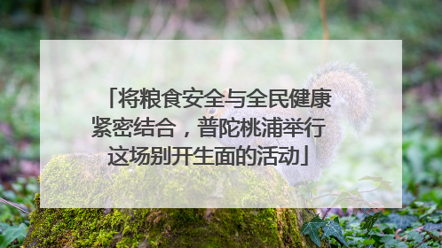 将粮食安全与全民健康紧密结合，普陀桃浦举行这场别开生面的活动