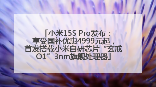小米15S Pro发布：享受国补优惠4999元起，首发搭载小米自研芯片“玄戒O1”3nm旗舰处理器