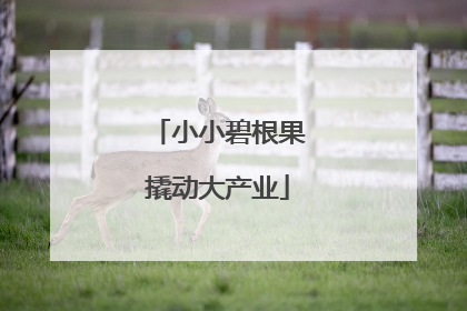 小小碧根果撬动大产业
