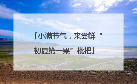 小满节气，来尝鲜“初夏第一果”枇杷