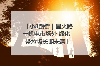 小8跑街｜星火路一机电市场外 绿化带垃圾长期未清