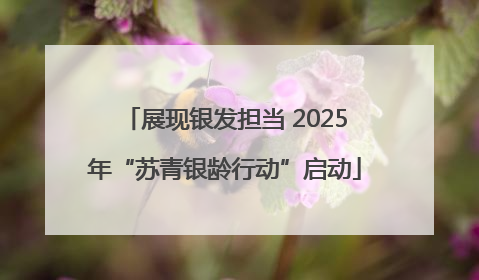 展现银发担当 2025年“苏青银龄行动”启动