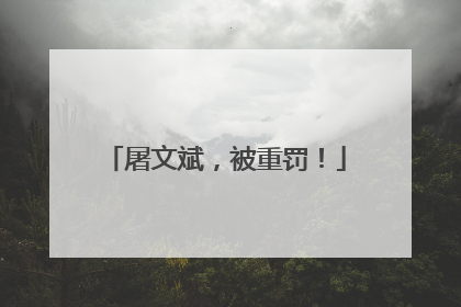屠文斌，被重罚！