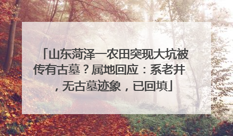 山东菏泽一农田突现大坑被传有古墓？属地回应：系老井，无古墓迹象，已回填