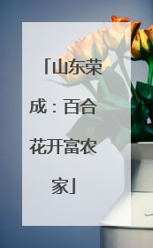 山东荣成：百合花开富农家