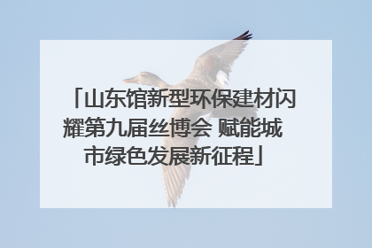 山东馆新型环保建材闪耀第九届丝博会 赋能城市绿色发展新征程