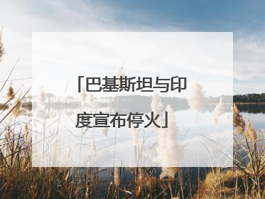 巴基斯坦与印度宣布停火