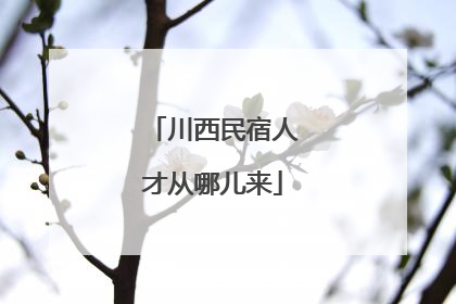 川西民宿人才从哪儿来