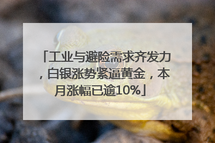 工业与避险需求齐发力，白银涨势紧逼黄金，本月涨幅已逾10%