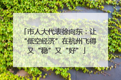 市人大代表徐向东：让“低空经济”在杭州飞得又“稳”又“好”