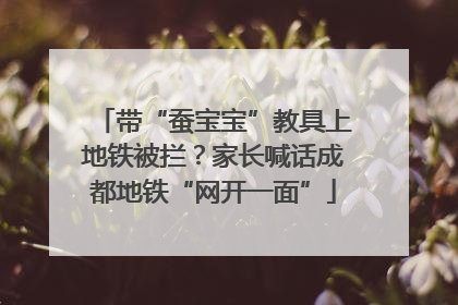 带“蚕宝宝”教具上地铁被拦？家长喊话成都地铁“网开一面”