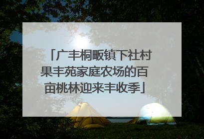 广丰桐畈镇下社村果丰苑家庭农场的百亩桃林迎来丰收季