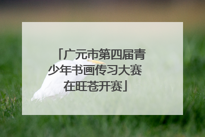 广元市第四届青少年书画传习大赛在旺苍开赛
