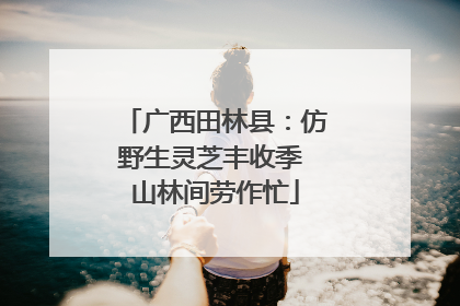 广西田林县：仿野生灵芝丰收季 山林间劳作忙