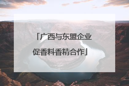 广西与东盟企业促香料香精合作