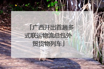 广西开出首趟多式联运物流总包外贸货物列车