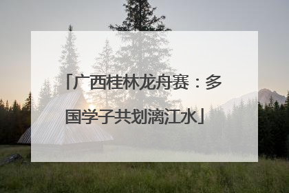 广西桂林龙舟赛：多国学子共划漓江水