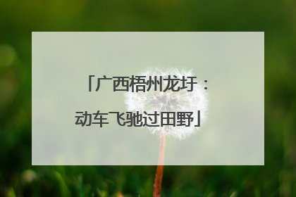 广西梧州龙圩：动车飞驰过田野