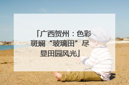 广西贺州：色彩斑斓“玻璃田”尽显田园风光