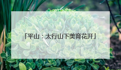 平山：太行山下美育花开