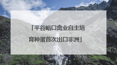 平谷峪口禽业自主培育种蛋首次出口非洲