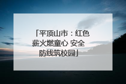 平顶山市：红色薪火燃童心 安全防线筑校园