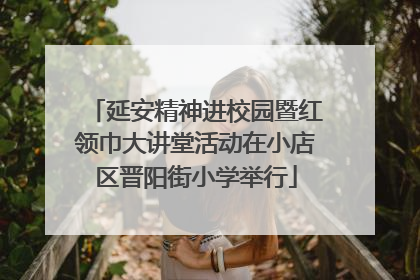 延安精神进校园暨红领巾大讲堂活动在小店区晋阳街小学举行