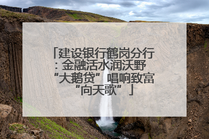 建设银行鹤岗分行：金融活水润沃野 “大鹅贷”唱响致富“向天歌”