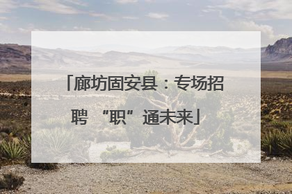 廊坊固安县：专场招聘 “职”通未来