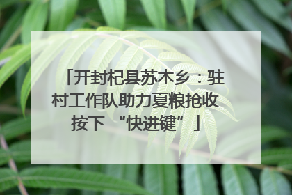 开封杞县苏木乡：驻村工作队助力夏粮抢收按下 “快进键”