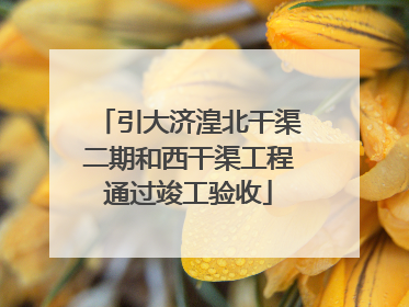 引大济湟北干渠二期和西干渠工程通过竣工验收