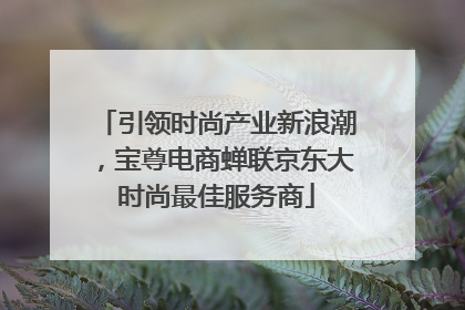 引领时尚产业新浪潮，宝尊电商蝉联京东大时尚最佳服务商