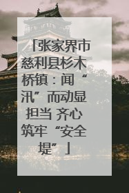 张家界市慈利县杉木桥镇：闻“汛”而动显担当 齐心筑牢“安全堤”