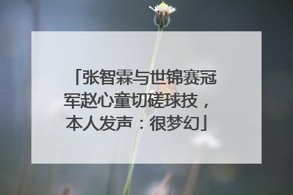 张智霖与世锦赛冠军赵心童切磋球技，本人发声：很梦幻