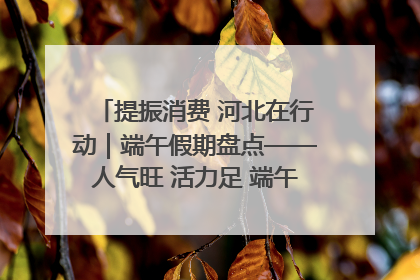 提振消费 河北在行动｜端午假期盘点——人气旺 活力足 端午经济“热浪”迭起