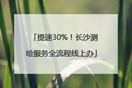 提速30%！长沙测绘服务全流程线上办