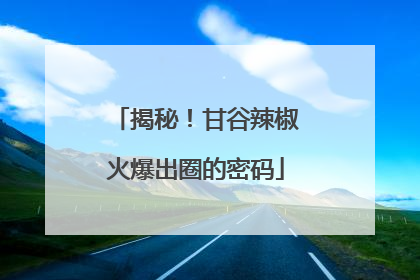 揭秘！甘谷辣椒火爆出圈的密码