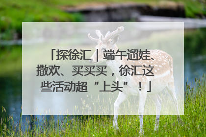 探徐汇｜端午遛娃、撒欢、买买买，徐汇这些活动超“上头”！